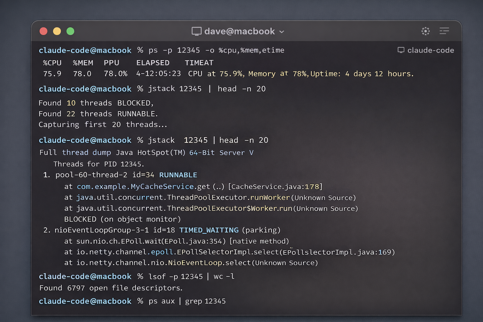 Claude Code running diagnostic commands on a live process