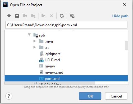 Spring boot - Open a new project.
